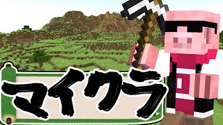 【マイクラ】たいたいの鉄5万個掘るやつの手伝いで駆り出されました