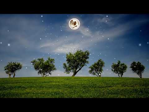 Vivaldi. Concerto No. 1 in E major, Op. 8, RV 269, "Spring"  III. Allegro pastorale (in E major)