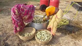 गाँव की शादियों में बनने वाली आलू बैंगन की मसालेदार सब्जी|| Baigan masala prepare for 1000 people's