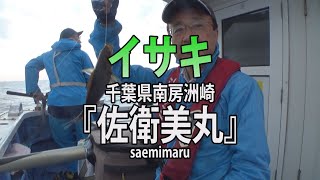 佐衛美丸・千葉県洲崎港「タナ取りと追い食いで！イサキ釣り」