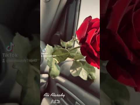 ٢٤ أغسطس ٢٠٢١