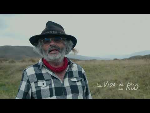 La vida de un río - 2024