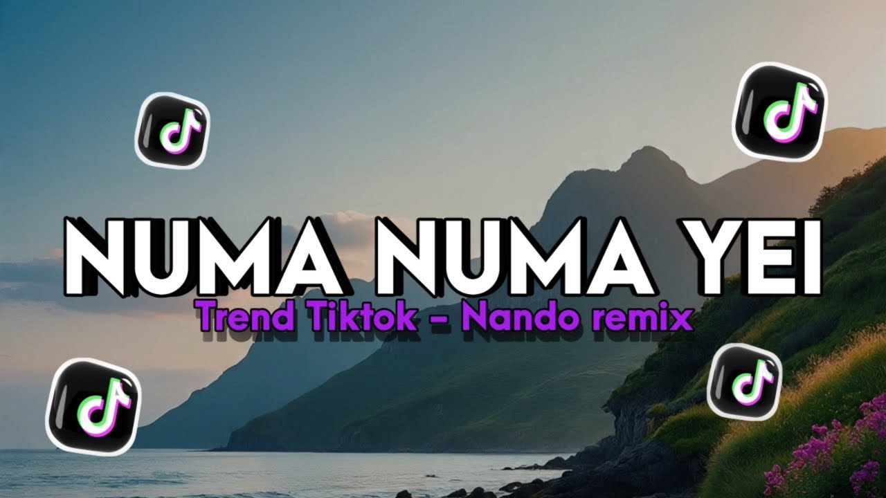 Dj Numa Numa Yei - Nando rmx