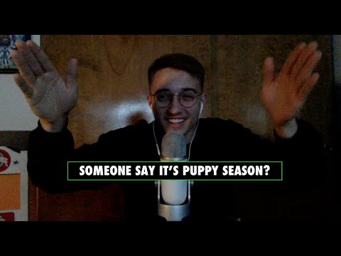 Christmas Break = Relaxation | Christmas Puppy Surprise | Various Triggers | ASMR