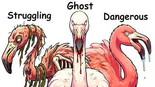 Every Flamingo Explained in 23 Minutes