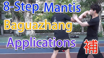 Eight-Step Praying Mantis & Baguazhang Applications / 戳 / Leon Chu (朱思勳) /八步螳螂 / 八卦掌