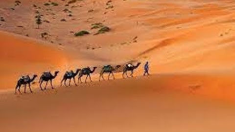 Top 10 Biggest Deserts in the World | A Visual Journey through the World