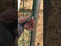 Practical Demonstration of Electric Fence Wire Tensioning Tool