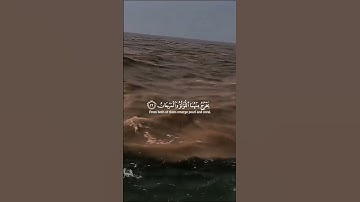 سورة الرحمن بصوت القارئ ماهر المعيقلي 🤍 #اكسبلور #اللهم_صل_وسلم_على_نبينا_محمد #explore #سورة_الرحمن