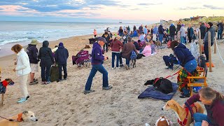 GRtB® 2022 Greyhounds Reach The Beach