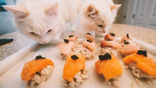 I Tried to Make Sushi for My Cats | Fine Dining for Cats | The Cat Butler