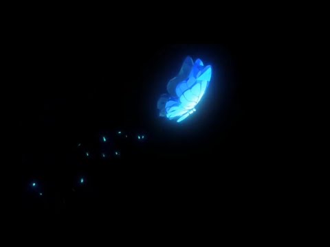 【MAD】ダイアの花【崩壊3rd】