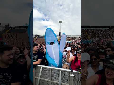 an ode to the sharks of #LOOMTour 🦈