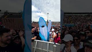 an ode to the sharks of #LOOMTour 