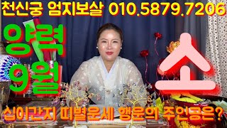 [서울용한점집][수유리용한무당][천신궁엄지보살] 양력9월 &quot;소&quot; 띠별운세
