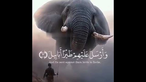 'سورة الفيل .. بصوت الشيخ علي جابر رحمه الله