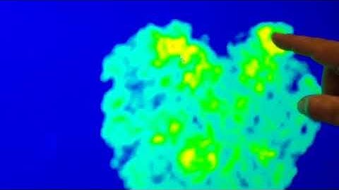 Visiopharm algorithms
