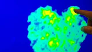 Visiopharm algorithms