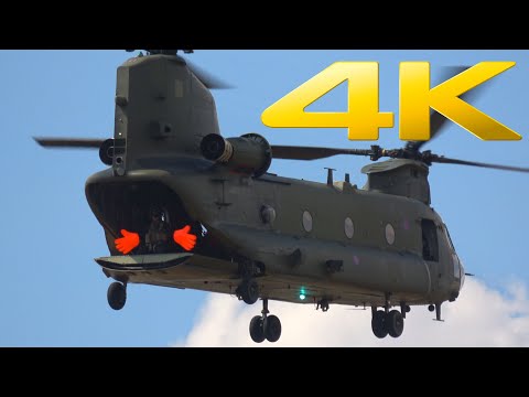 4K | Royal