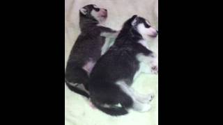 IMG 3044 IMG 3044
