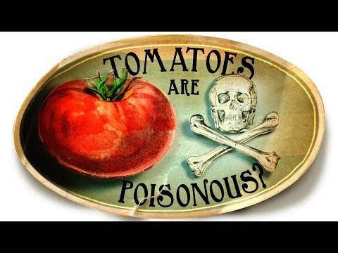 Video: Er tomatplanter giftige: informasjon om giftigheten til tomater