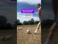 #football #footballshorts #footballskills #training #coaching #footballplayer #footballer