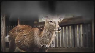 Circle Dynamic Slideshow After Effects Template