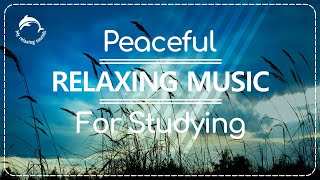 💨👨‍🏫Peaceful RELAXING music for STUDYING. Featuring Windy Days. #studymusic