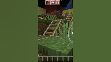 train with zoo in minecraft