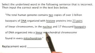 Problem 19 - Tales from the Genome