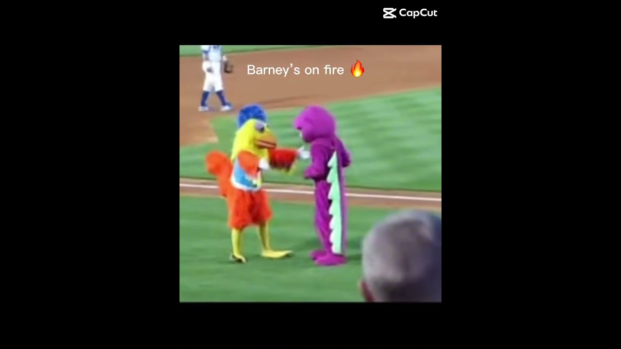 Dang barney