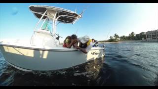 How to Catch and Release