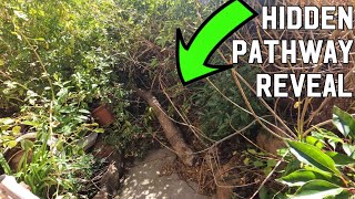 EXTREME OVERGROWN GARDEN BED RESTORATIONS PART TWO