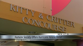 'Let's help our feline friends become Wisconsinites': Local shelters help with Hurricane Helene