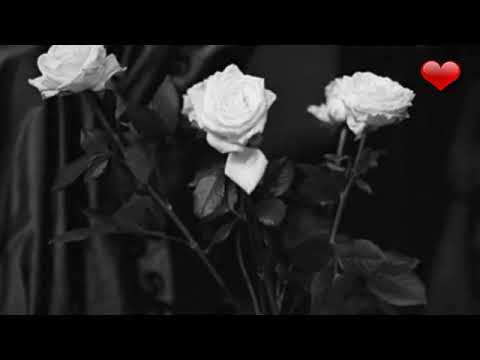 عاورق الورد رسمت الوعد