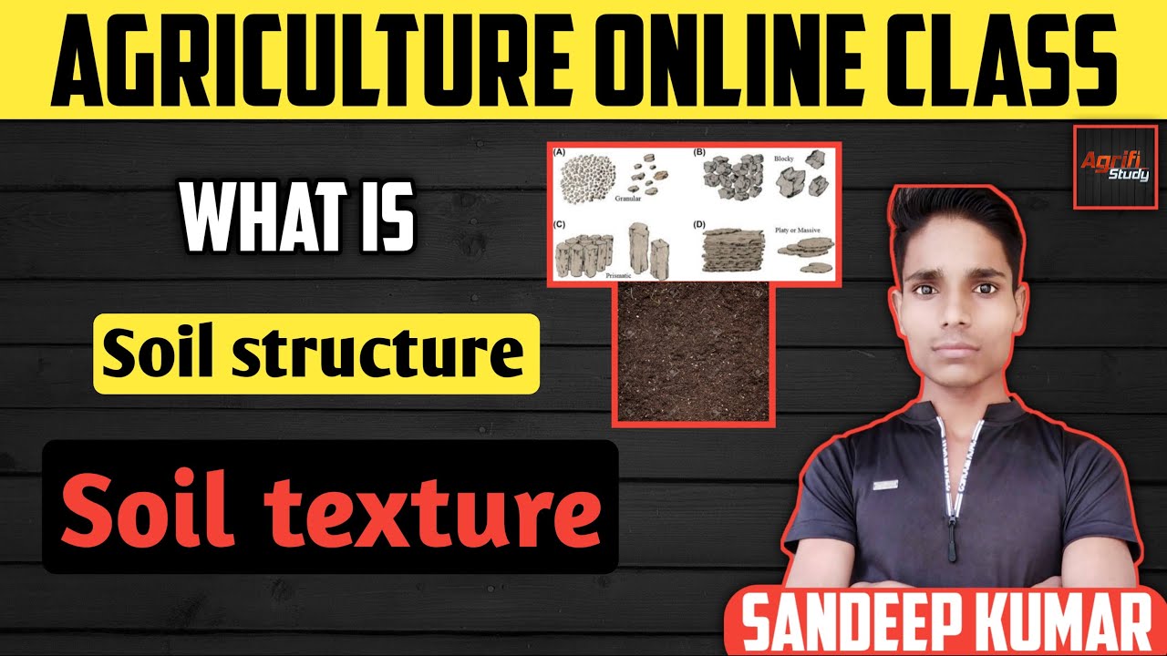 what-is-soil-texture-and-structure-in-soil-science-soil-texture-soil-structure-youtube