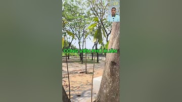 -Đất đường NGUYỄN BÌNH, xã PHÚ XUÂN.-DT: 5x22m, 108m2, 5.6ty.- Sau UBND huyện Nhà Bè, LH: 0909937039