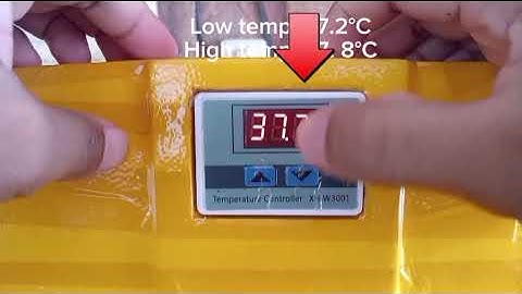 Paano mag set-up ng temperature sa XH-W3001 thermostat para sa DIY egg incubator