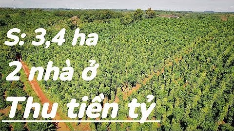 💥💥 Siêu phẩm 3,4 ha đất vườn, hơn 3000 trụ tiêu, đường nhựa, 2 nhà xây, ao to, gần QL14A, 230tr/sào