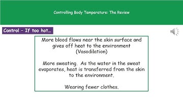 B1 10   Controlling Your Body Temperature Foundation Tier Summary