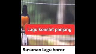 Lagu murai panjang rolling terbaik 2025 #muraibatu #kicaumania #reels