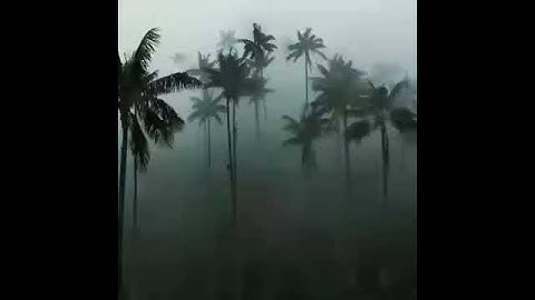 مقطع مؤثر من سورة مريم