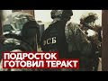Сотрудники ФСБ задержали подростка, готовившего теракт в Тамбове