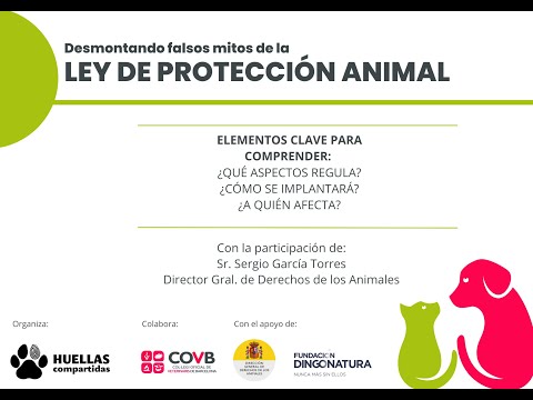 Video: Protección animal en Rusia: fundaciones, apoyo estatal y público. Rescate de animales: historias reales