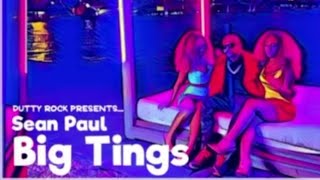 Sean Paul - Big Tings [No Caption Riddim] |Jan 2020| Resimi