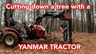 Cutting a tree down with a Yanmar Tractor and widening a trail through the woods. Yanmar SA325