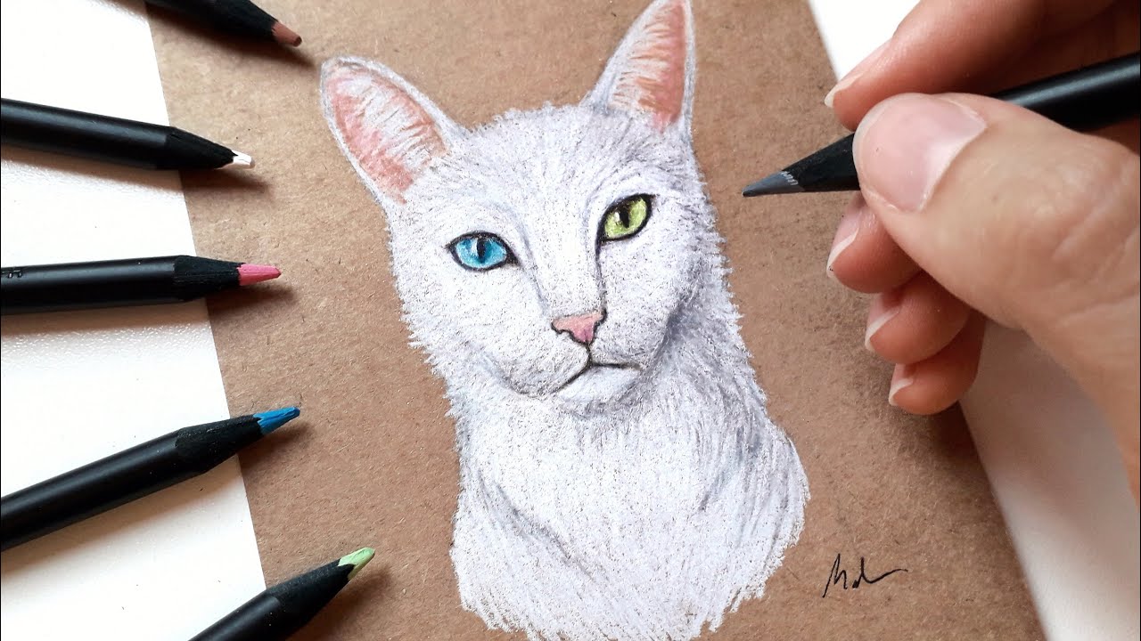 O processo de desenhar o retrato de um gato. desenho realista de um gato  com lápis de cor. local de trabalho do artista. artista no trabalho