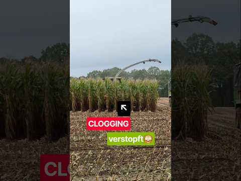 CLAAS Jaguar | Orbis 900 verstopft 🙈 #farming #claas #silage #tractor #landwirtschaft