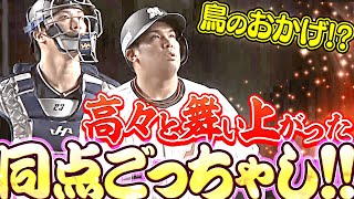 【鳥のおかげ!?】井上晴哉『高々と舞い上がった“同点ごっちゃし”』