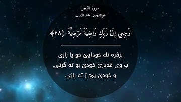 سورة الفجر/محمد النقيب